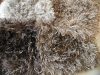 Polar